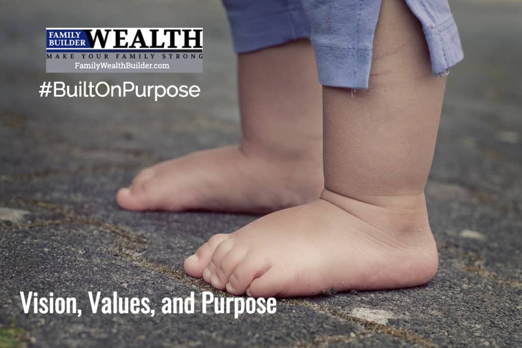 Vision Values and Purpose